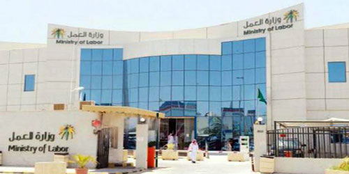 20 % تذهب لشركات الاتصالات والجهات المشغلة تكلفة خدمة 