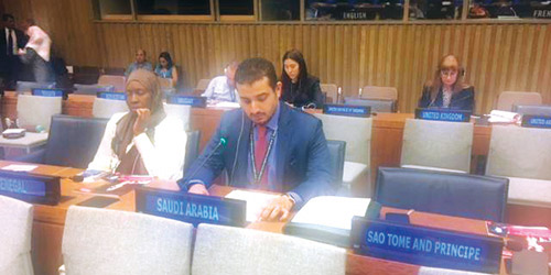 خلال أعمال الدورة الثامنة للفريق العامل المعني بالشيخوخة 