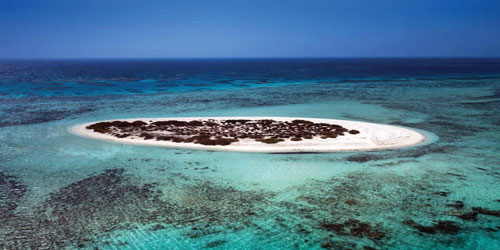 أكدوا أن جزر الساحل بكر ولم يعبث بها التلوث البيئي.. اقتصاديون لـ«الجزيرة»: 