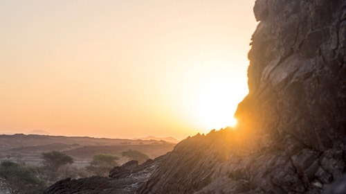 عدسة: نايف الحربي 