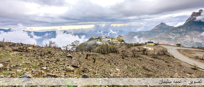 أرواحنا الرياحين 