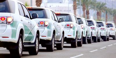 خطة متكاملة لأعمال الرقابة والتحقق من توافر السلع التموينية خلال الحج 