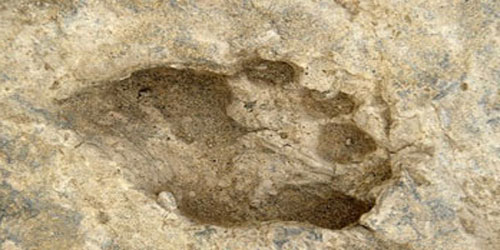 اكتشاف مقابر من العصر الحجري تعود إلى ما قبل 9000 عام 