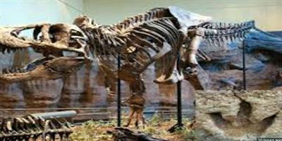 دراسة: ديناصورات ضخمة مفترسة عاشت في مرحلة مبكرة من تطورها 