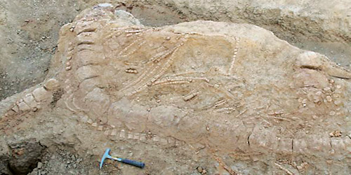 العثور على «وحش بحري» عاش قبل 150 مليون عام 