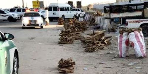 زراعة الرياض تضبط 48 طناً من الحطب 