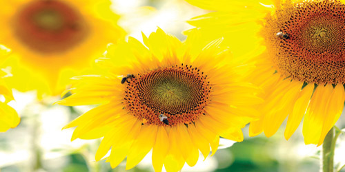 ما أروع الحب! 