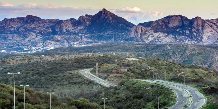  تصوير - أحمد سليمان