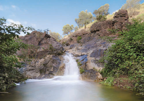 عدسة: الثقافية 