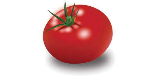 تناول الطماطم مفيد للجهاز التنفسي 