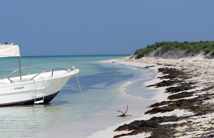 البِرك.. جزر سعودية توسدت البحر الأحمر