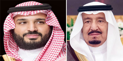 ولي عهد وللملك عضد ومتون 