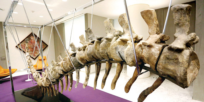  ذيل الديناصور المنقرض خلال عرضه في برج «BBVA Bancomer» بالمكسيك