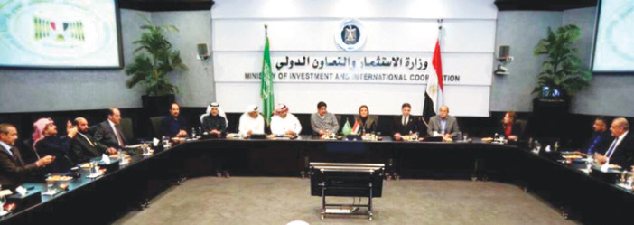 تعاون سعودي مصري 