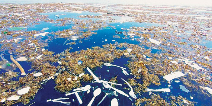 جزيئات البلاستيك تهدد عمالقة المحيطات 
