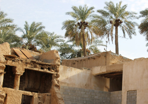 عدسة: الثقافية 