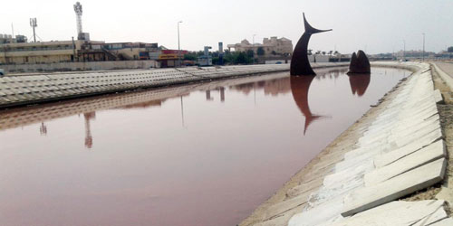 الأرصاد تكشف تفاصيل تلوث بحيرة السمكة في جدة.. الاثنين 