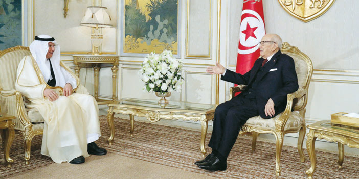   الرئيس التونسي خلال لقائه الأمين العام لمنظمة التعاون الإسلامي