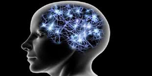 دراسة: المخ يظل ينتج خلايا الذاكرة خلال العقد الثامن من العمر 