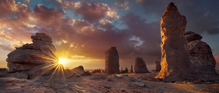  رياض الجرعي