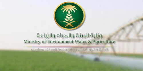 تشغيل وصيانة الشبكة الهيدرولوجية وآبار المراقبة 