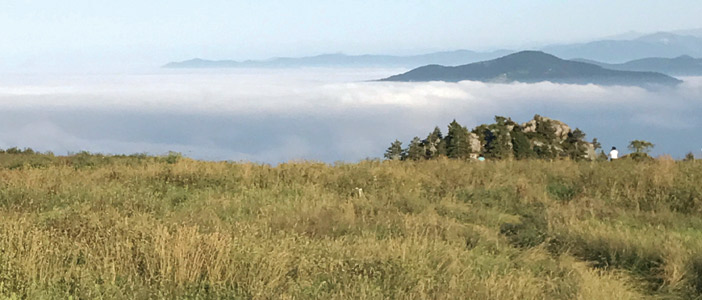 بُثِّي حَنانَكِ 