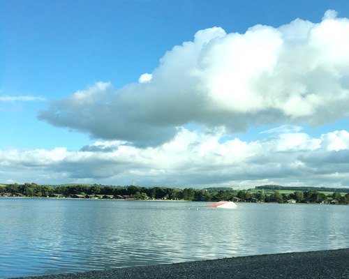  بدرية الشمري