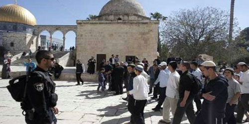 محتلون يهود يقتحمون المسجد الأقصى 