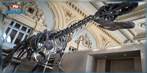 بيع هيكل ديناصور مقابل أكثر من مليوني دولار 