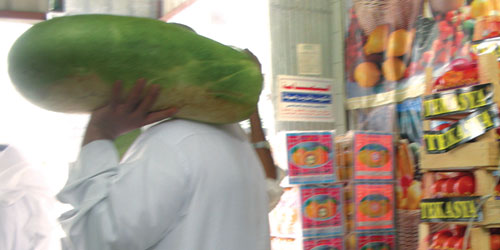 الشباب وفرص العمل والتشجيع 