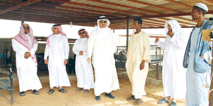  محافظ شقراء أثناء تفقده سوق الأغنام