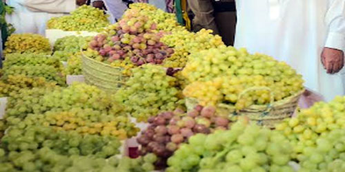 850 ألف ريال مبيعات مهرجان العنب بالصلبية في يومَيْن 