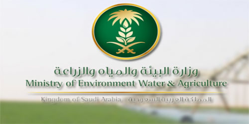 صيد البحر.. تورط قوارب بشباك النايلون المحظورة 