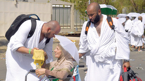 {وبالوالدين إحسانا} 