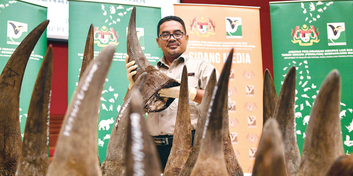 ماليزيا تضبط مجموعة من قرون وحيد القرن 