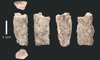 علماء  يعثرون على عظام متحجّرة عمرها خمسون ألف سنة 