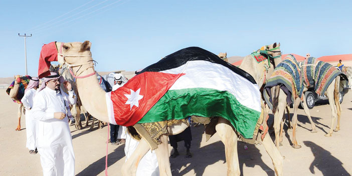 28 مطية من الأردن تلتحق بركب المشاركين في مهرجان ولي العهد للهجن 