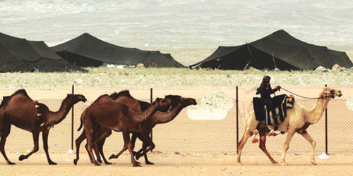 دار آل سعود 