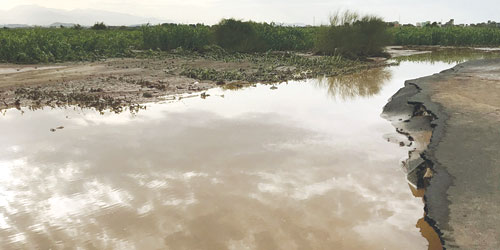  طبيعة خلابة خلفتها أمطار جازان