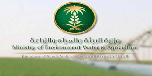 «البيئة» تستعرض الفرص الاستثمارية أمام القطاع الخاص في استيراد الحطب 