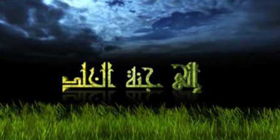 نبض لا يتوقف 