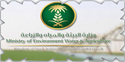 «البيئة»: عقوبات مغلظة لصائدي السلاحف البحرية والاتجار بها 