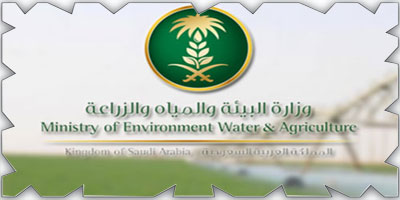 «البيئة» تعلن وظائف مؤقتة في الرياض 