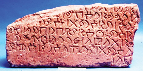 «العربية» لغة الحضارة.. ولسان القرآن الكريم 