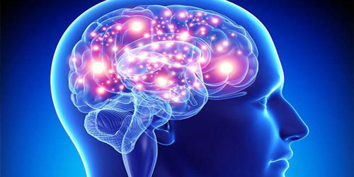 علماء يكتشفون طريقة لتجديد «سن الدماغ» 
