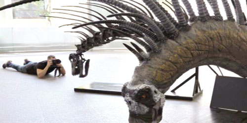 العثور على بقايا ديناصورات عاشت قبل 140 مليون سنة 