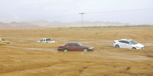  من أمطار المدينة المنورة