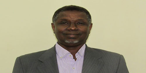 مشاورات لتكوين حكومة انتقالية في إفريقيا الوسطى خلال شهرين 