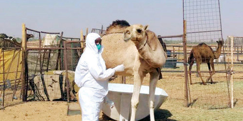  جانب من عملية الاستقصاء