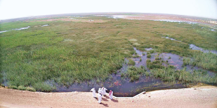 بحيرة الأصفر.. كحل الليل.. وبياض الشتاء 